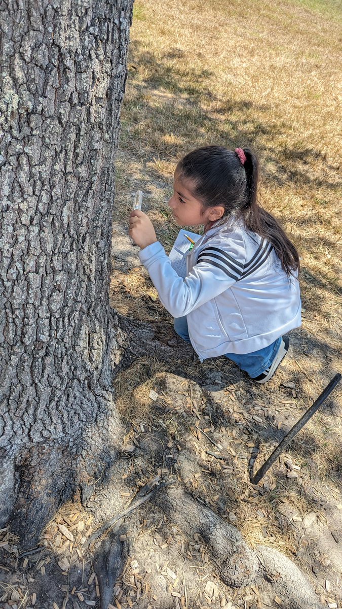 J_Vazquez tweet media