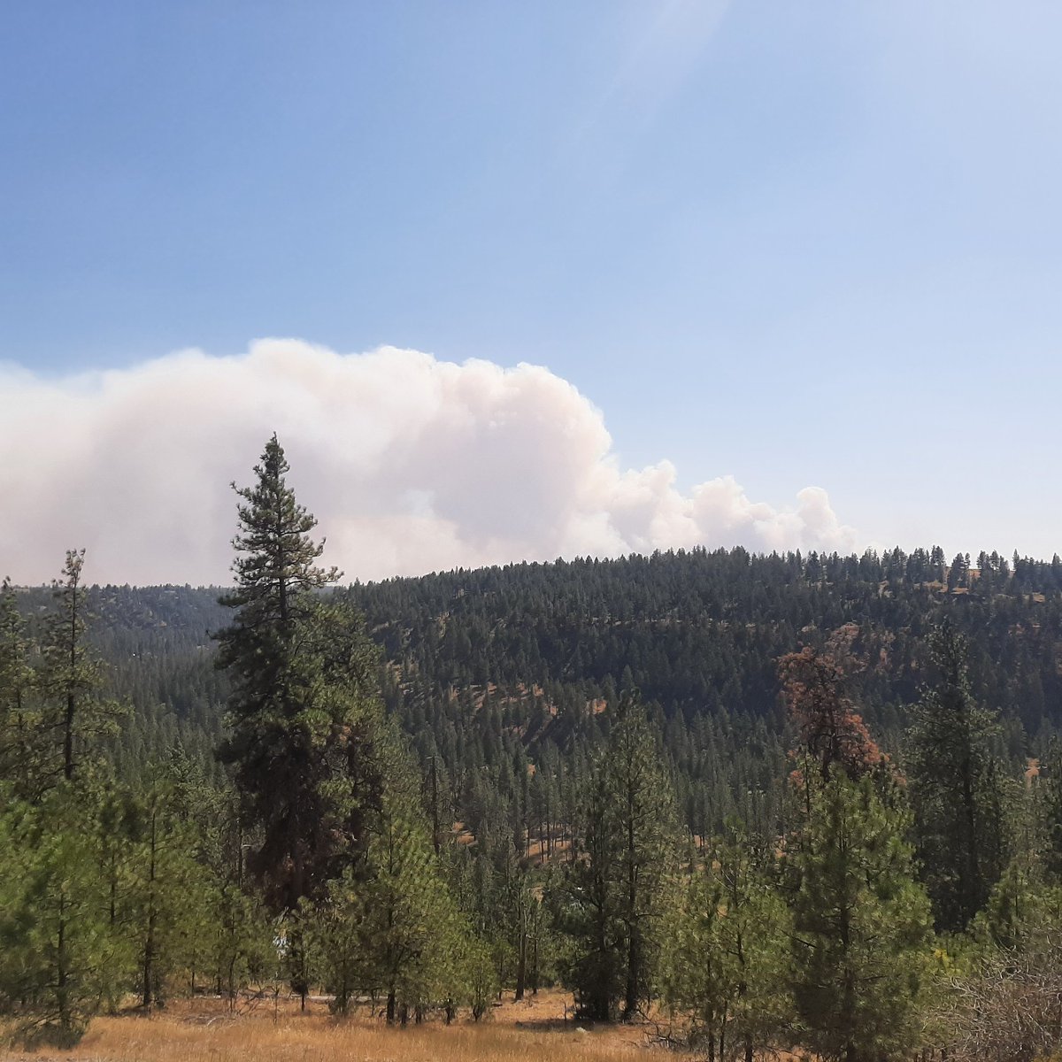 OplOtx's tweet photo. The Gray fire as seen from three miles Northwest of Airway Heights. Be safe everybody. https://t.co/WSFe8j8gxW