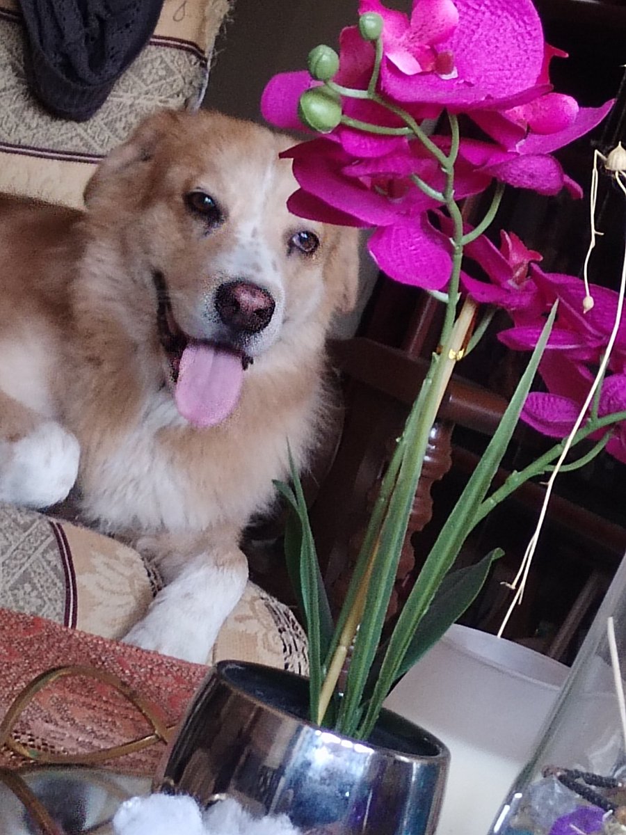Ella es todo lo que está bien en esta vida 💗