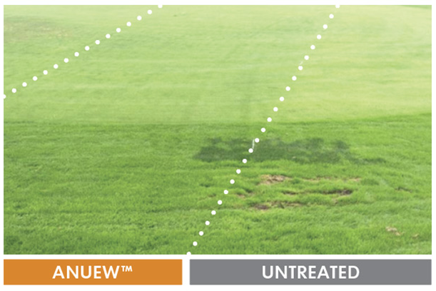 The advantages of Anuew™ WDG are now available in a convenient liquid formulation. Learn how Anuew EZ can help you maintain pristine surface conditions while saving time and labor with less mowing and fewer clippings. nufarm.com/usturf/product…