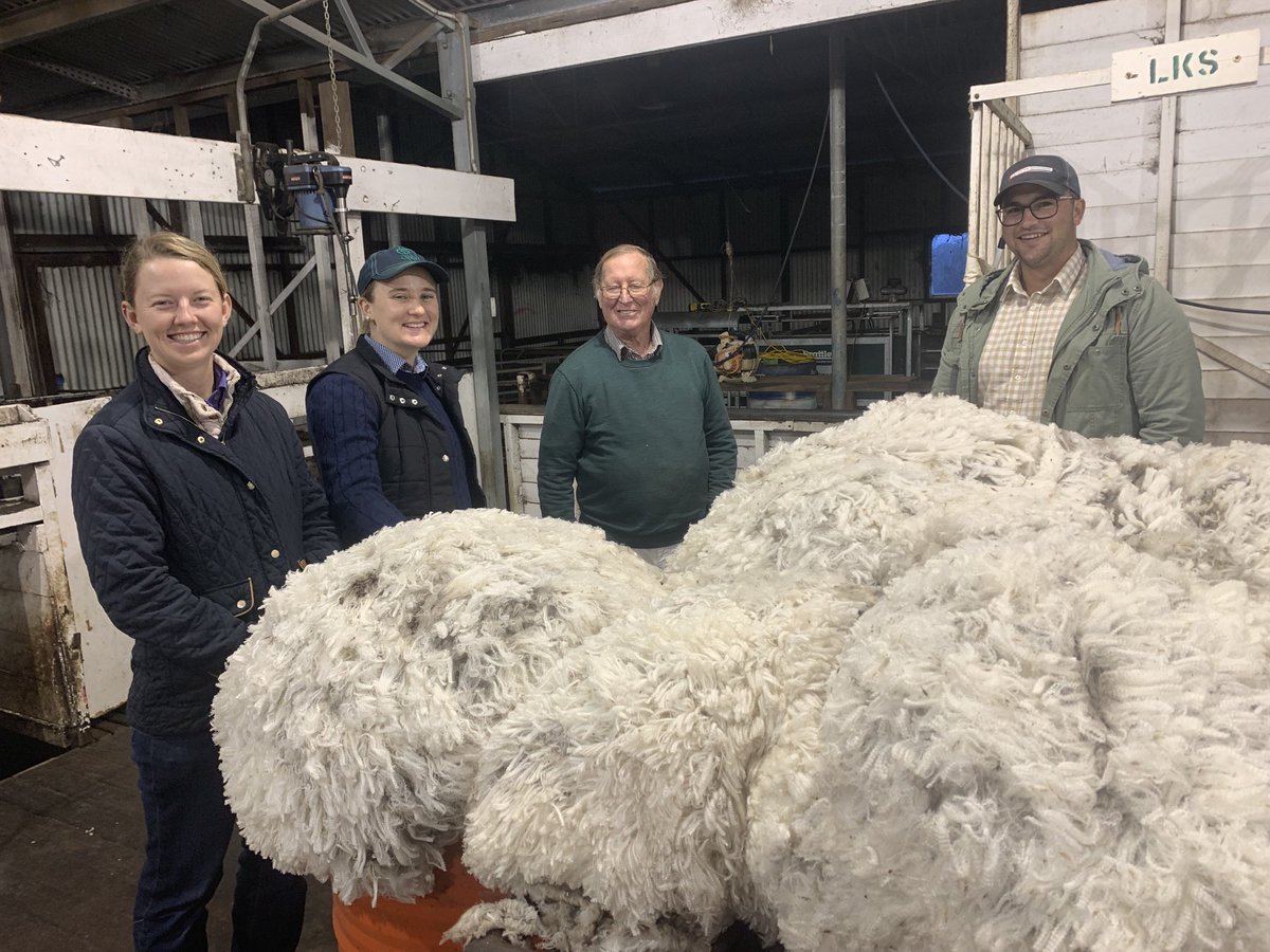 thepingpro's tweet photo. It’s been a solid week. Drive 8 hours Perth - Esperance - ASHEEP Field Day - Wattledale Classing - Katanning WA sheep expo - Billandri Sires - Genstock WA - Rohde Past Co - Fletcher International Exports Feedlot - Perth.
⁦@PWScholarship⁩ Awesome group of Scholarship Winners https://t.co/NCiy1m21oC