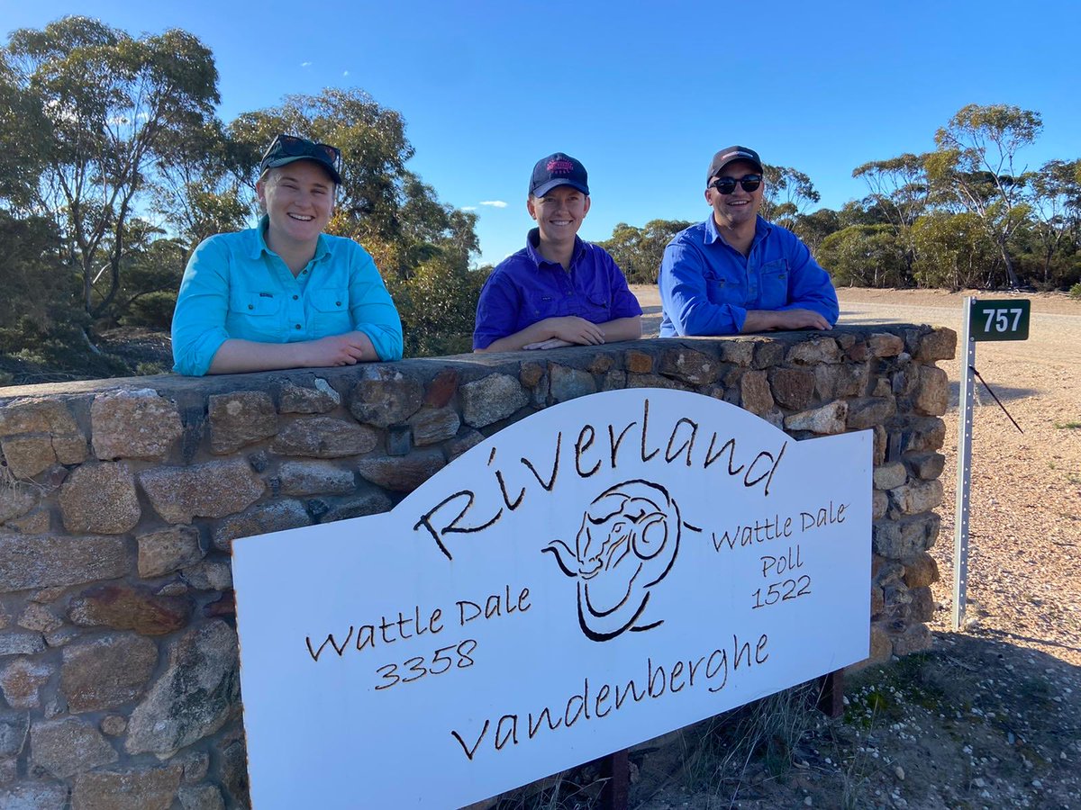 thepingpro's tweet photo. It’s been a solid week. Drive 8 hours Perth - Esperance - ASHEEP Field Day - Wattledale Classing - Katanning WA sheep expo - Billandri Sires - Genstock WA - Rohde Past Co - Fletcher International Exports Feedlot - Perth.
⁦@PWScholarship⁩ Awesome group of Scholarship Winners https://t.co/NCiy1m21oC