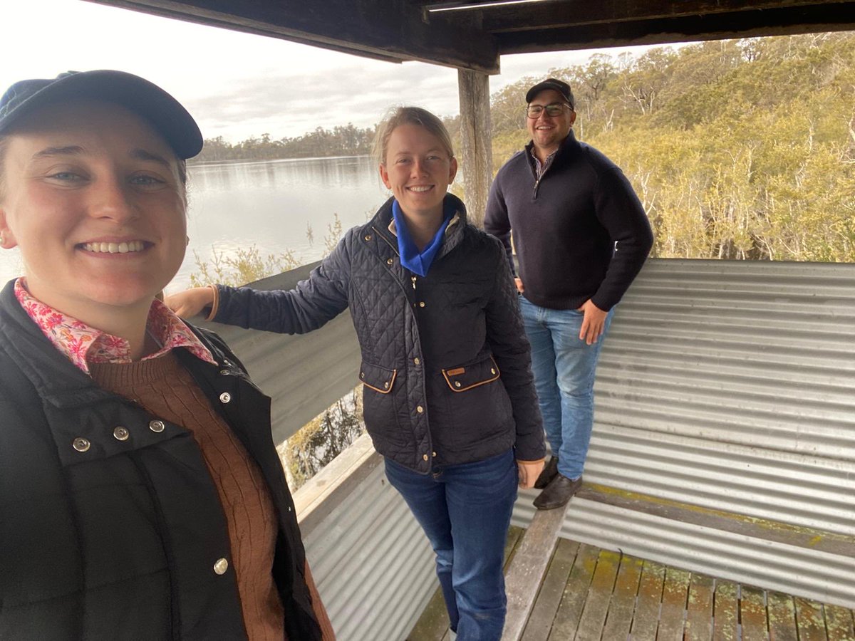 thepingpro's tweet photo. It’s been a solid week. Drive 8 hours Perth - Esperance - ASHEEP Field Day - Wattledale Classing - Katanning WA sheep expo - Billandri Sires - Genstock WA - Rohde Past Co - Fletcher International Exports Feedlot - Perth.
⁦@PWScholarship⁩ Awesome group of Scholarship Winners https://t.co/NCiy1m21oC