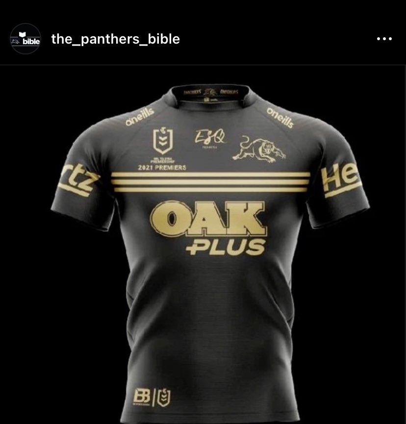 PeterVLang's tweet photo. Wow! Who would like to see this become an actual commemorative jersey?  I’d buy one in a flash! 
Thanks to ‘the _panthers_bible’ on Insta for this gem. #PantherPride https://t.co/7lONHRoMq3