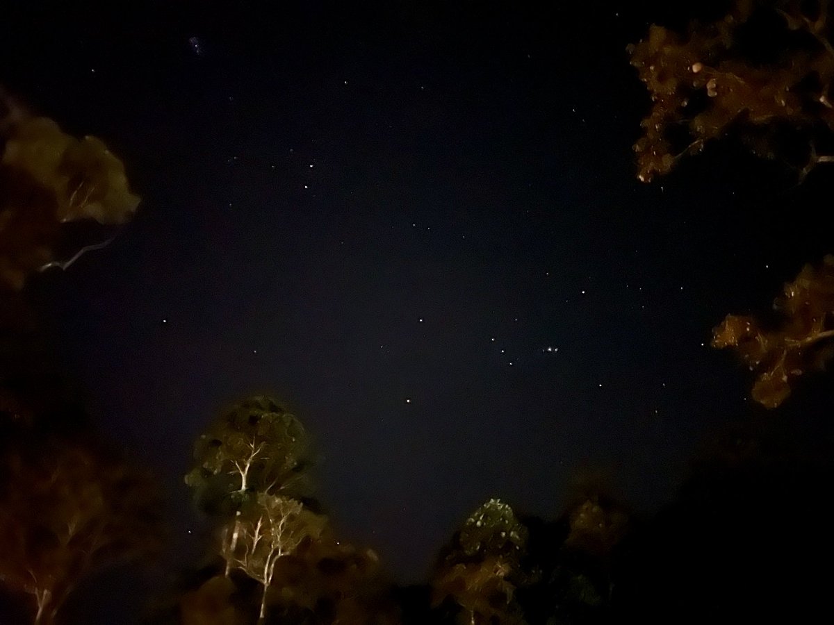 elzalyff's tweet photo. Splendid view… 

Cool and tranquil 

Repertoire of Nature 

#fridaymorning 
#stargazing 
#outsideisbetter https://t.co/mktAD40YFp