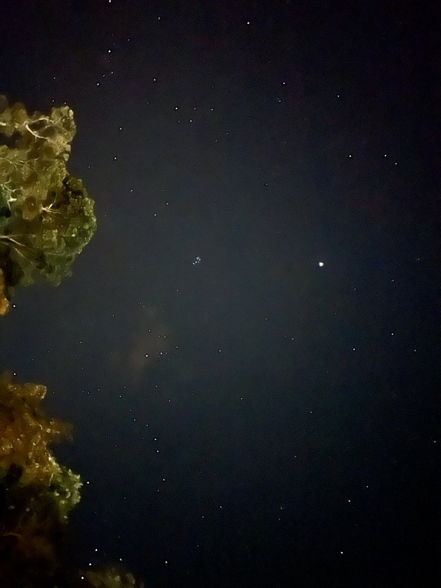 elzalyff's tweet photo. Splendid view… 

Cool and tranquil 

Repertoire of Nature 

#fridaymorning 
#stargazing 
#outsideisbetter https://t.co/mktAD40YFp