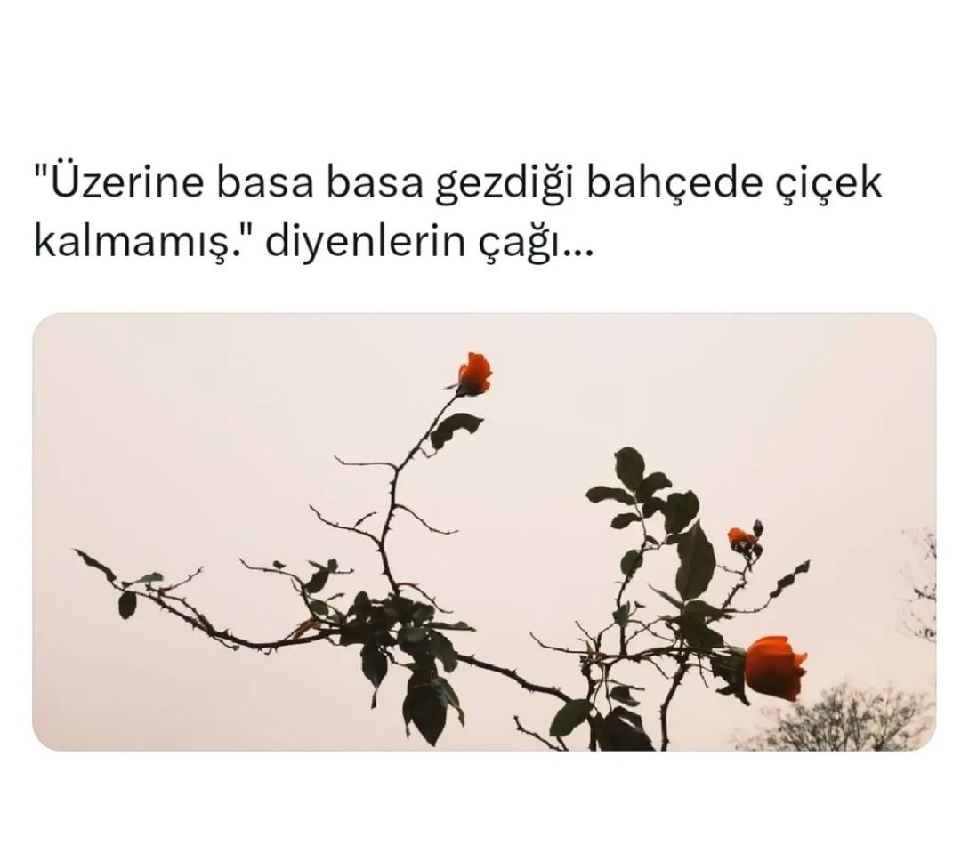▪️"Üzerine basa basa gezdiği bahçede çiçek kalmamış " diyenlerin çağı...