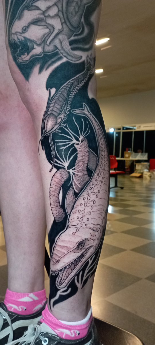 Francisca Zavala tweet media