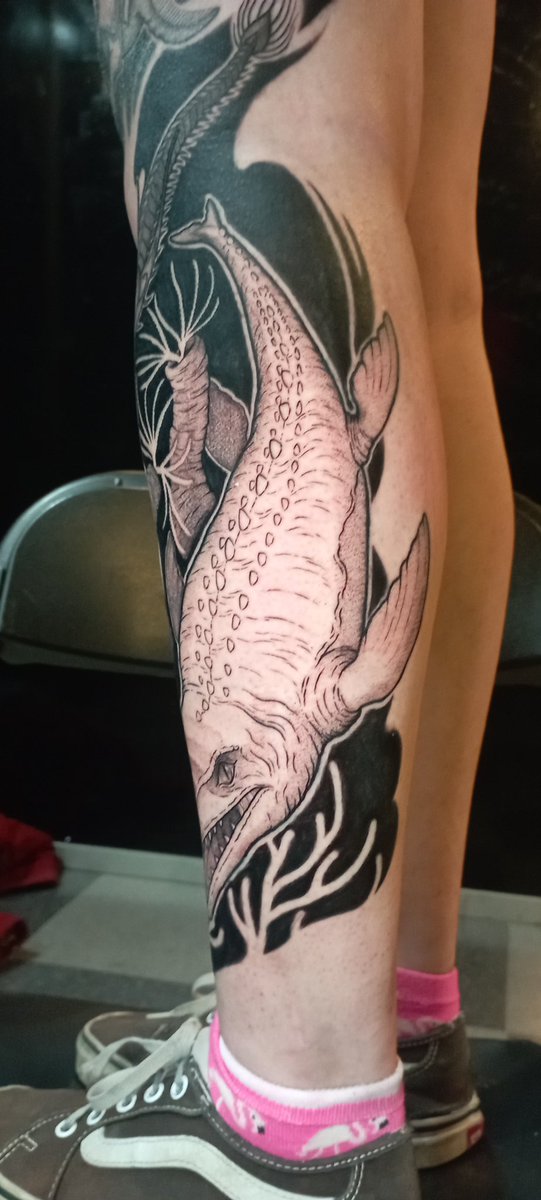 Francisca Zavala tweet media