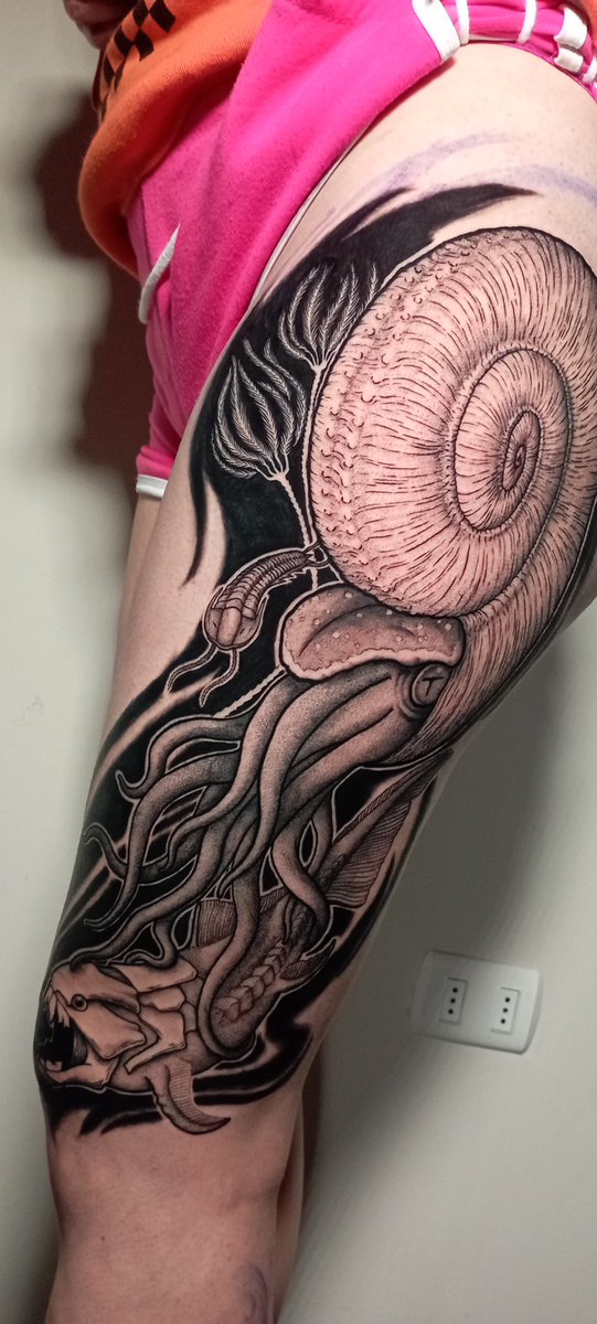 Francisca Zavala tweet media