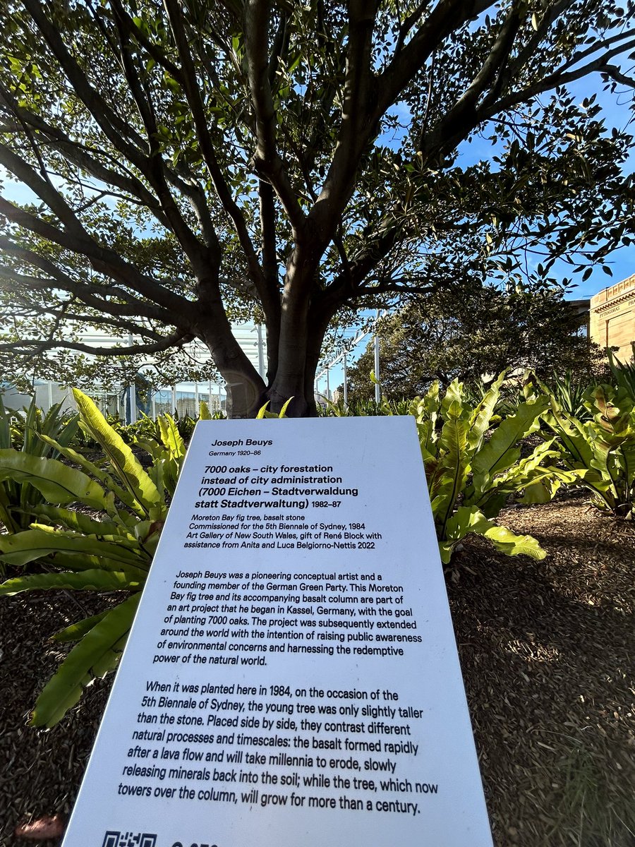 Daniel Jarosch tweet media