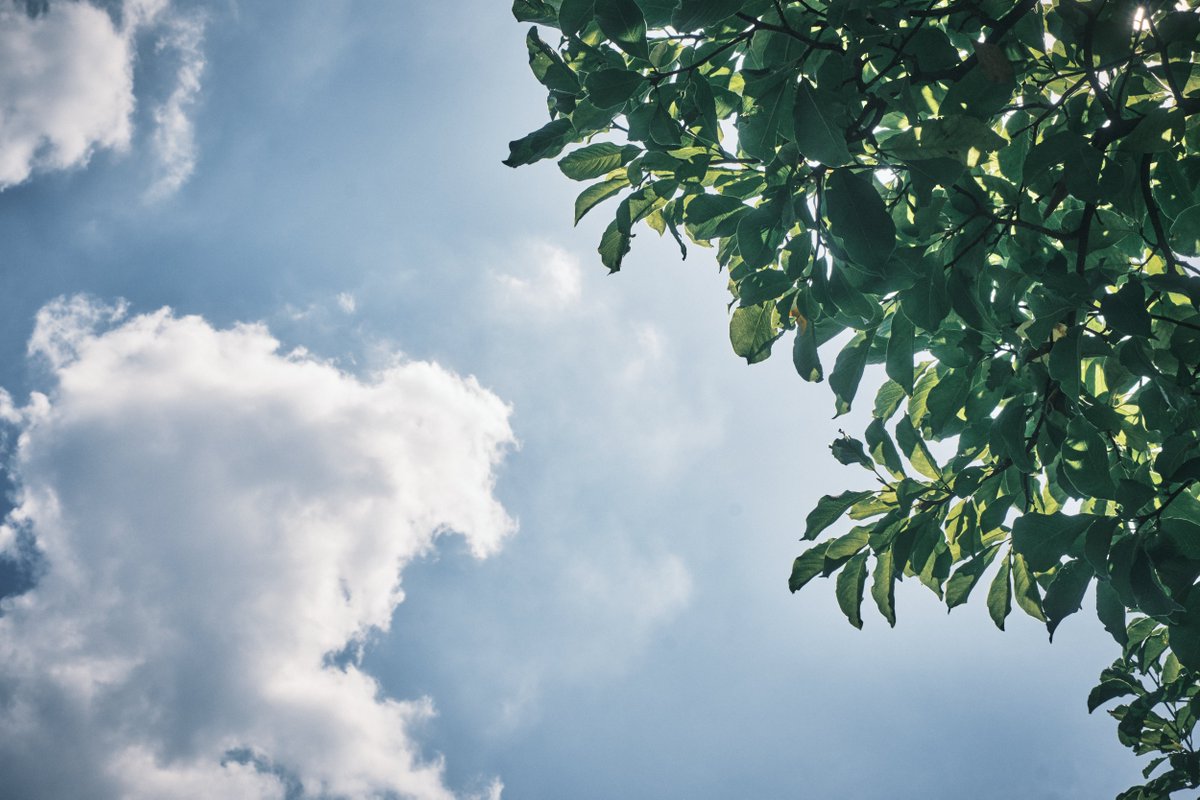 Tosano / Koji Chikazawa tweet media