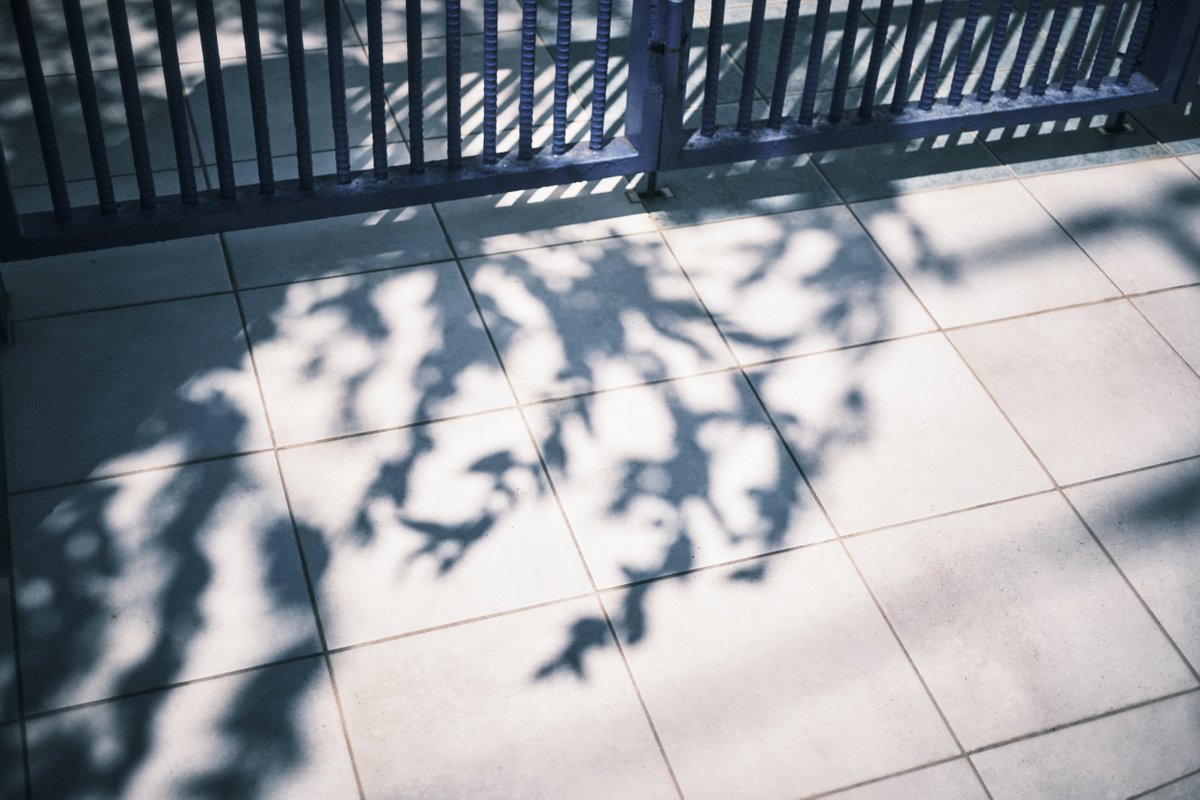 Tosano / Koji Chikazawa tweet media