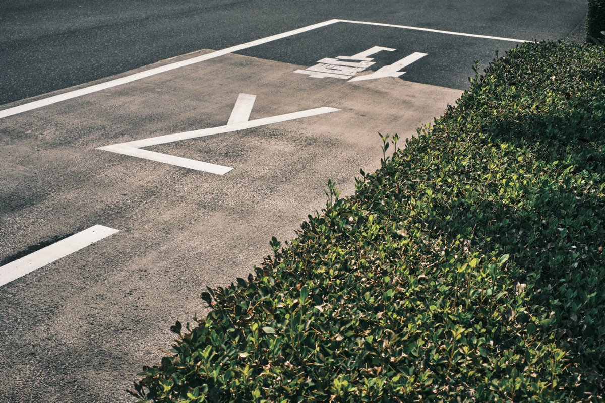 Tosano / Koji Chikazawa tweet media