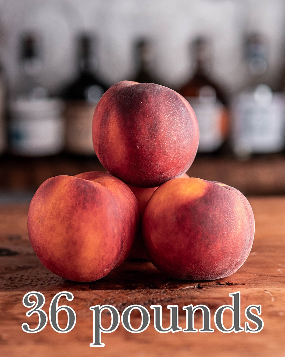 alchemix_bar's tweet photo. In two days we put 36 pounds of peaches to use.  We hope people enjoy a riff of an Ezoni for their brunch at the Iowa State Fair. 🤞 https://t.co/MtlY1ezI4Y