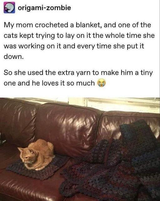 WholesomeMemes tweet media
