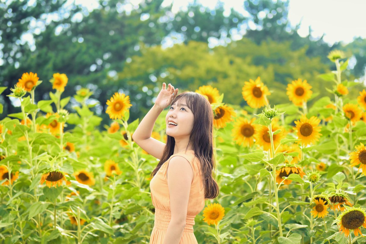 ichikayuto's tweet photo. モデル菜乃花さん@nanokaphoto
撮影ありがとうございました！夢だった向日葵ポートレートが撮れて大満足です！ずっと笑顔で楽しそうにしてくださり僕自身も楽しく撮影できました！感謝です。＃ポートレート #ポートレートが好きな人と繋がりたい https://t.co/WUOqDrh1xd