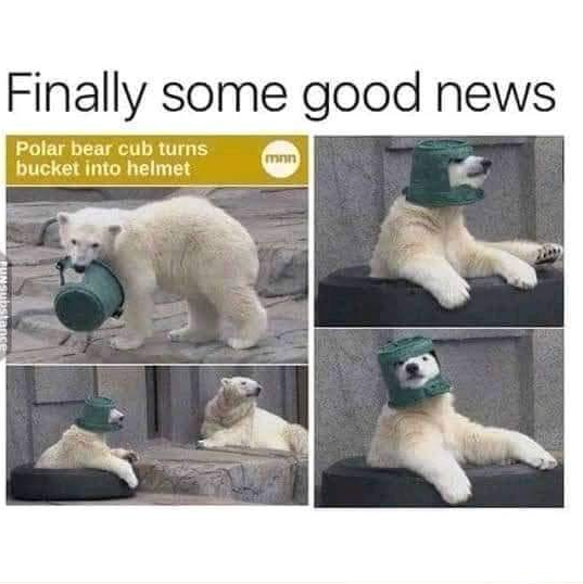 WholesomeMeme's tweet photo. https://t.co/qZMOseDdew