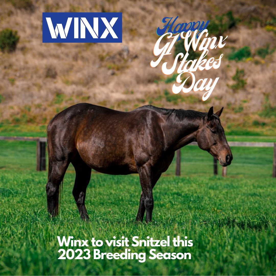 Happy Group 1 - Winx Stakes Day 🏇🏇🏇🏇Ⓜ️Ⓜ️Ⓜ️Ⓜ️ The WINX ownership group are pleased to announce she will visit Snitzel this 2023 breeding season.