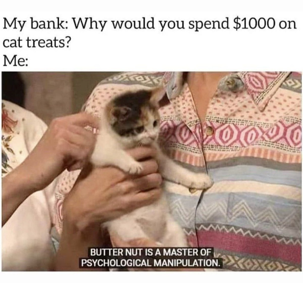 WholesomeMeme's tweet photo. https://t.co/baWcSEoE2N