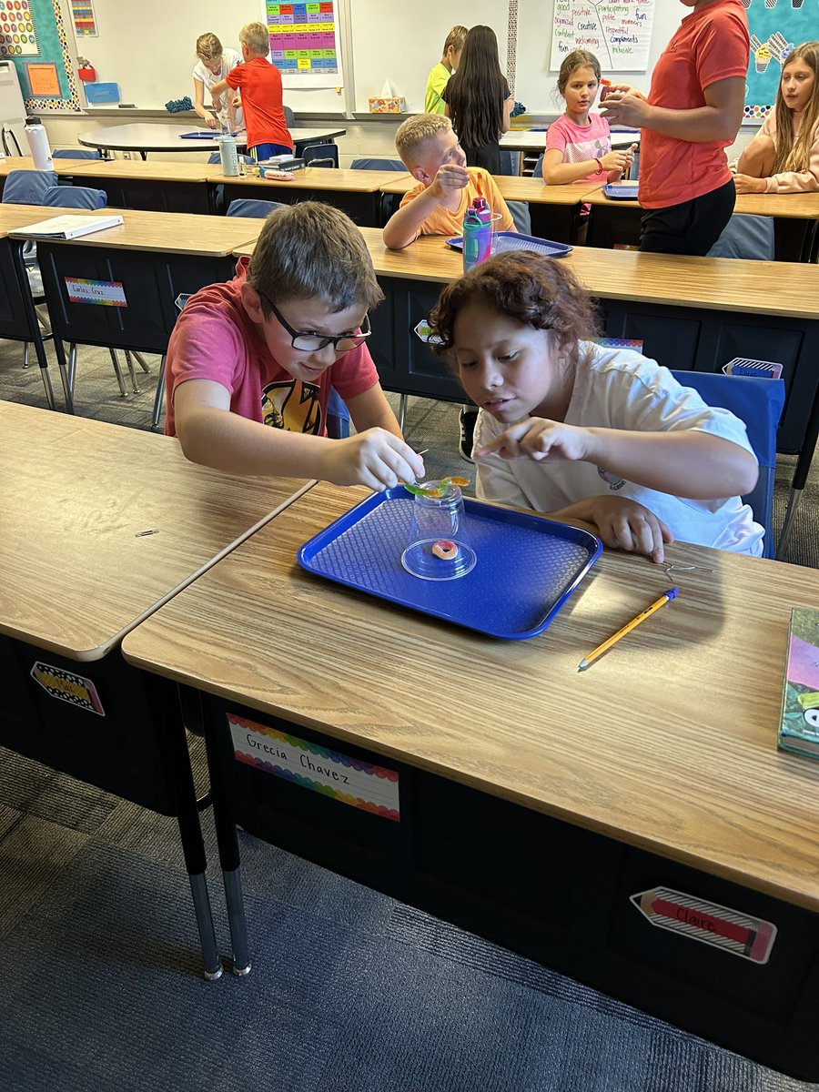 CaitlinDebower's tweet photo. This week we saved Fred the worm and discovered what our math super powers are! Great way to start the year! #lakeviewvikes https://t.co/6li6dRlbJs