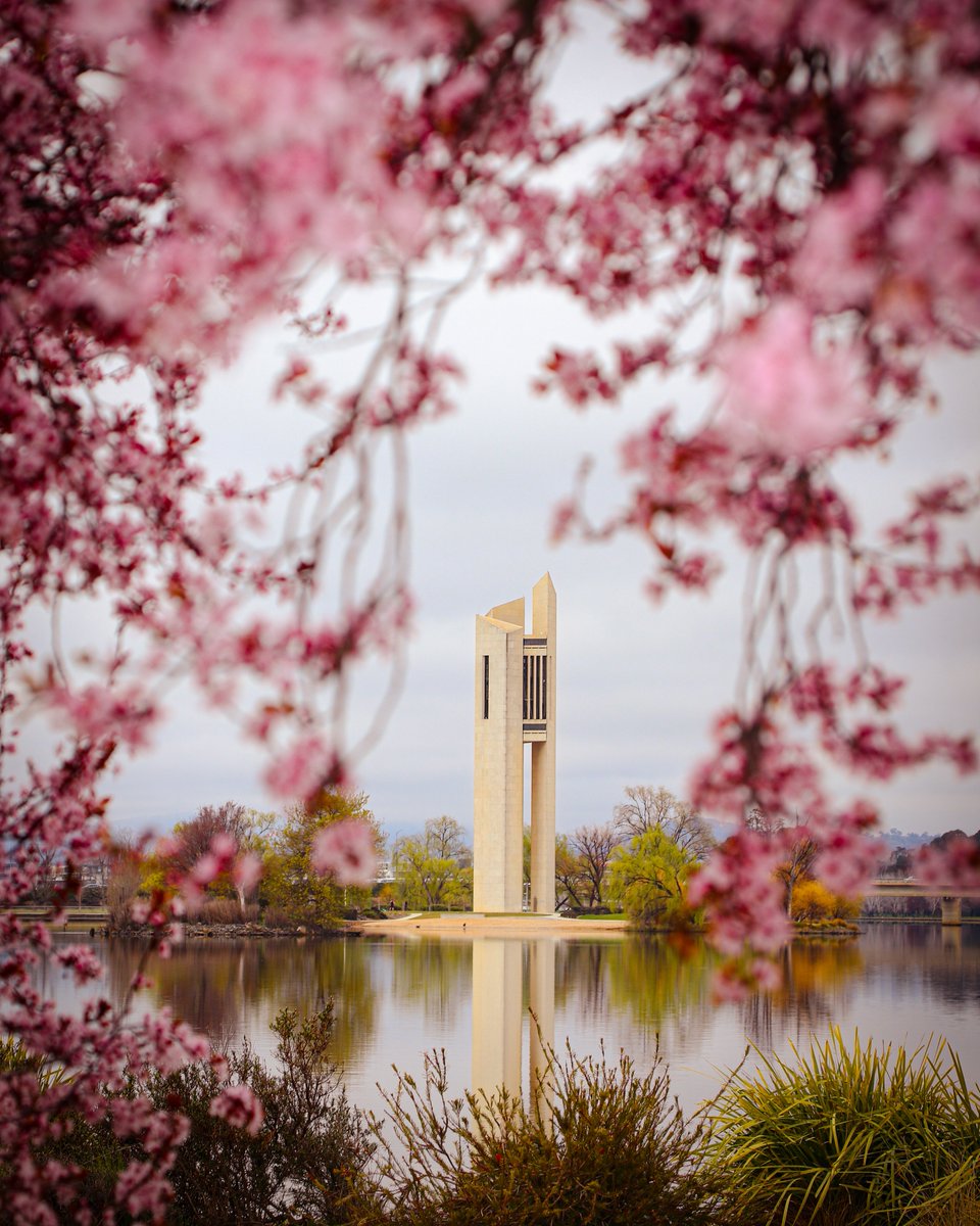 visitcanberra tweet picture