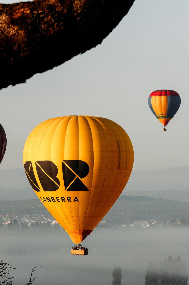 visitcanberra tweet picture