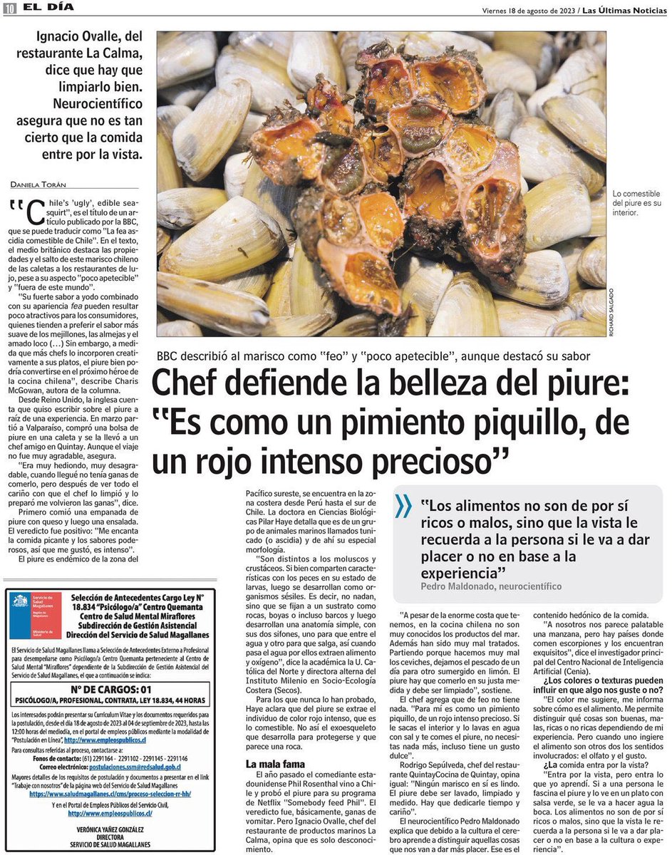 MilenioSecos's tweet photo. PRENSA🗞 Un artículo reciente publicado por @bbc_travel despertó interés ante las particulares características del #piure (Pyura chilensis). El medio nacional @lun nos consultó sobre la especie, que tiene un exoesqueleto que lo asemeja a una roca. https://t.co/5rHvGhjnkh