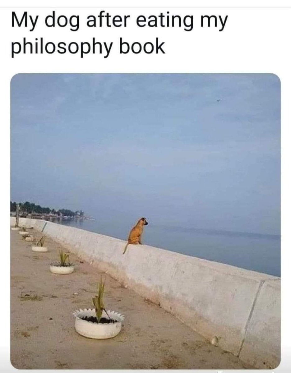 WholesomeMemes (@wholesomememe) on Twitter photo 