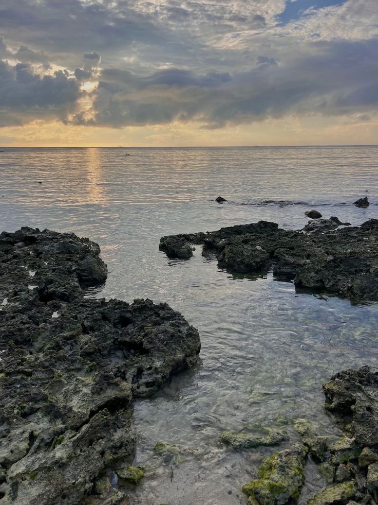 ⠀⠀ ⠀⠀⠀ 

           sns update   𓈀  aucona 
           sunrise in siargao. 😶‍🌫️
           rare moments na maaga tayo.

ㅤㅤㅤㅤㅤ