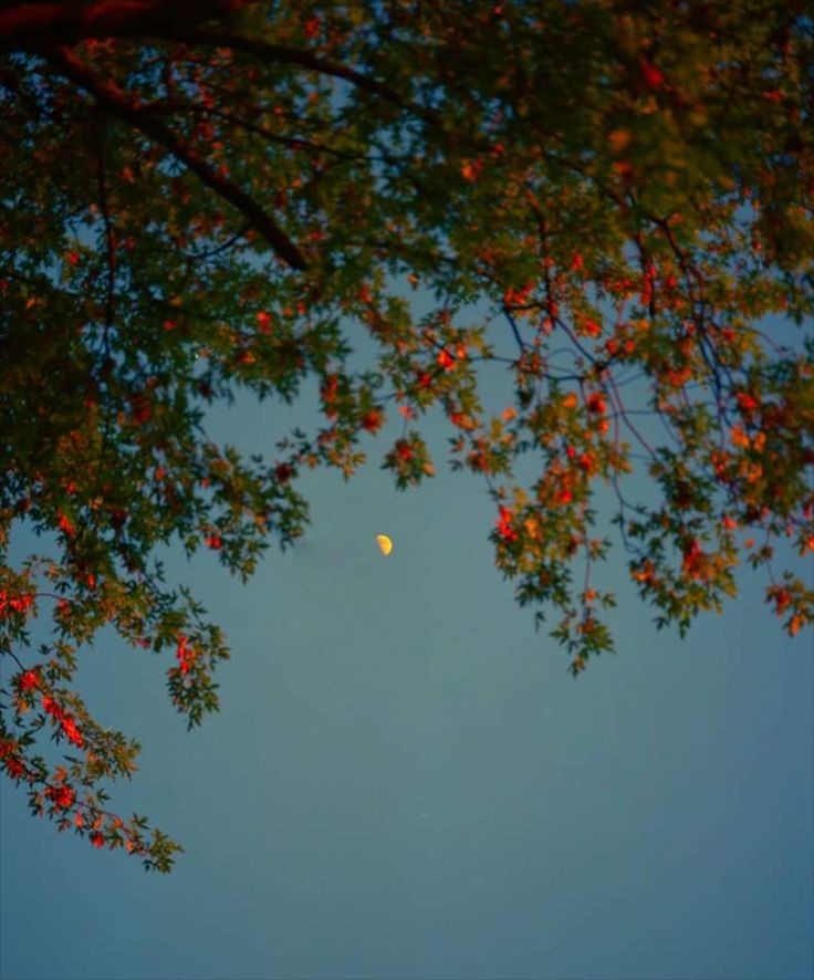 poetical photos. (@poeticalphotos) on Twitter photo 