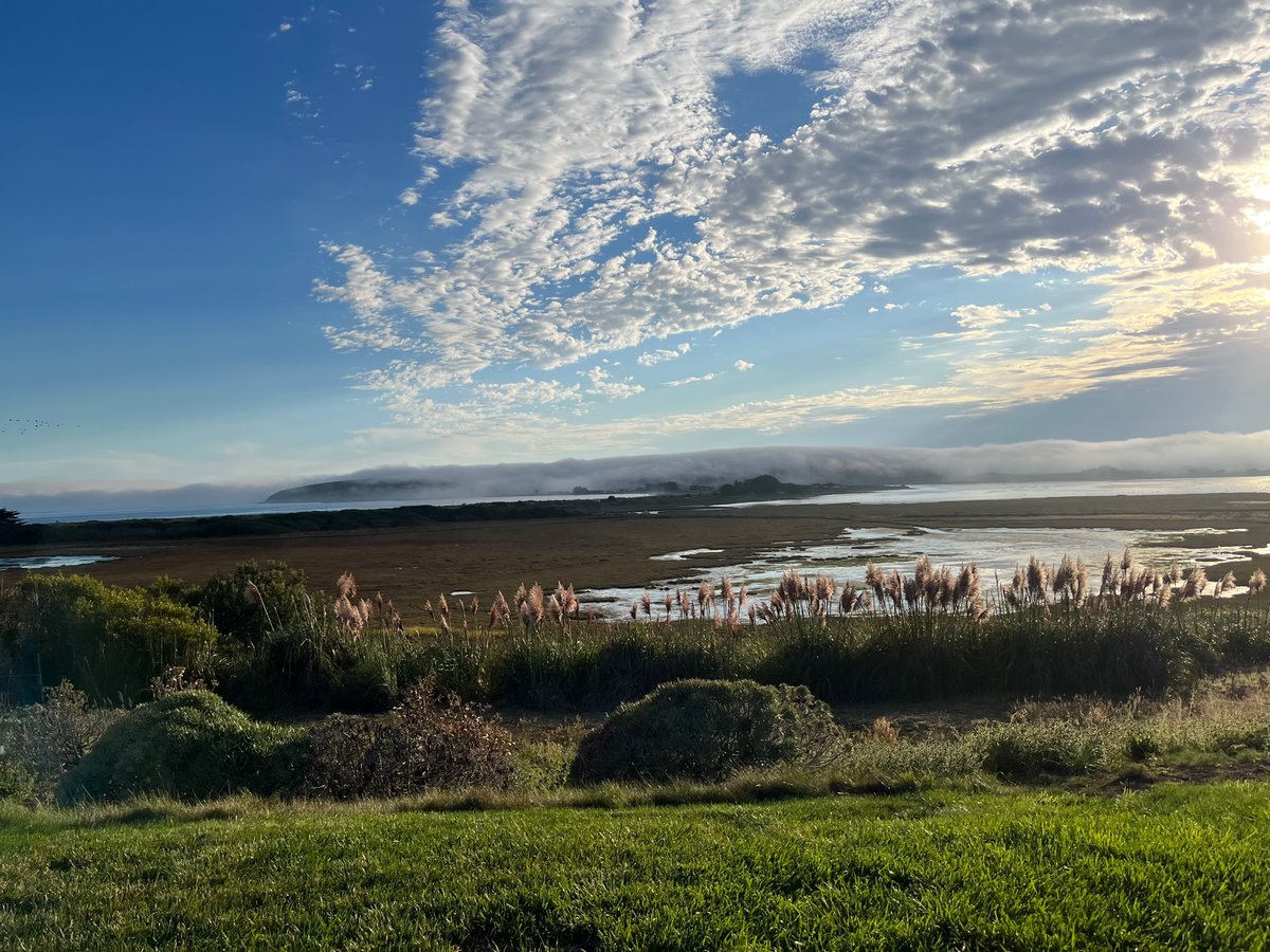 wolfschneider1's tweet image. Had the best time at the #BodegaBayLodge @VisitBodegaBay #bodegabay #bayarea #norcal