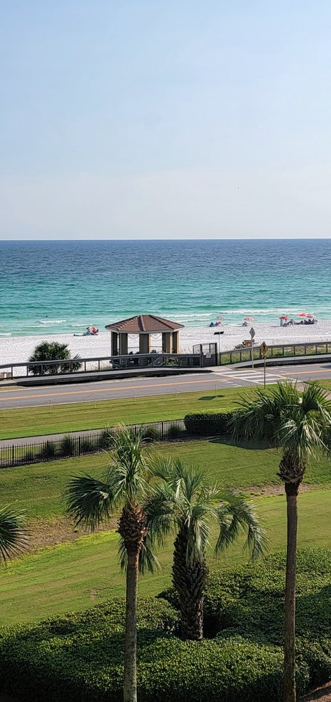 coko9718's tweet photo. At my hubby's urging, soaking in these gulf views. He said to me, why live in Florida if you don't want to take in some of the beauty that it offers no matter the politics. So, here we are. Enjoy your weekend. π
#beachlife #Gulfview #Florida π https://t.co/6TOmc4GImB