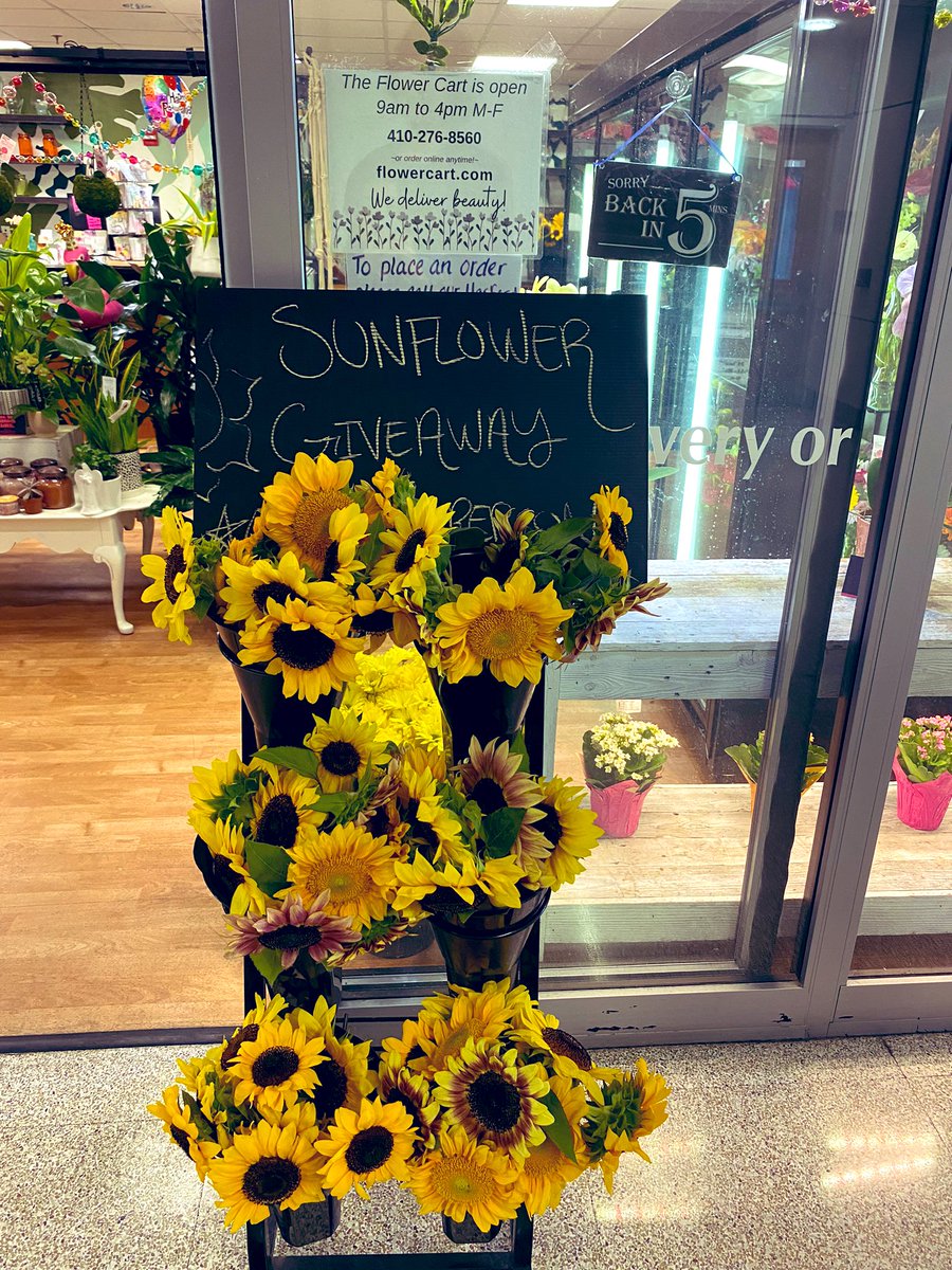 Day made🌻💛