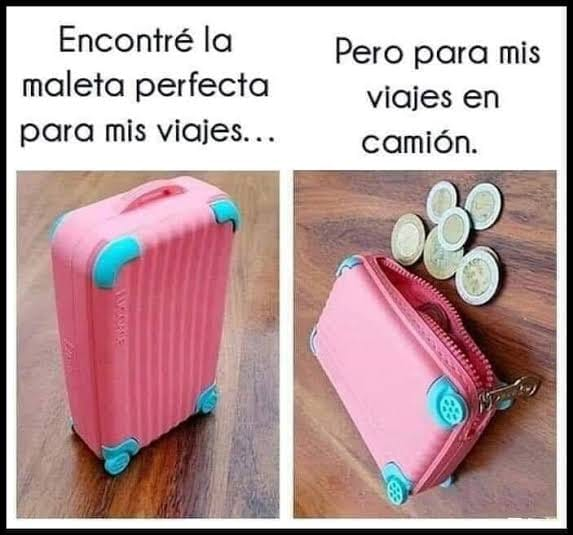 ChorizoCriticon's tweet photo. Perfección https://t.co/3oozBZzswE