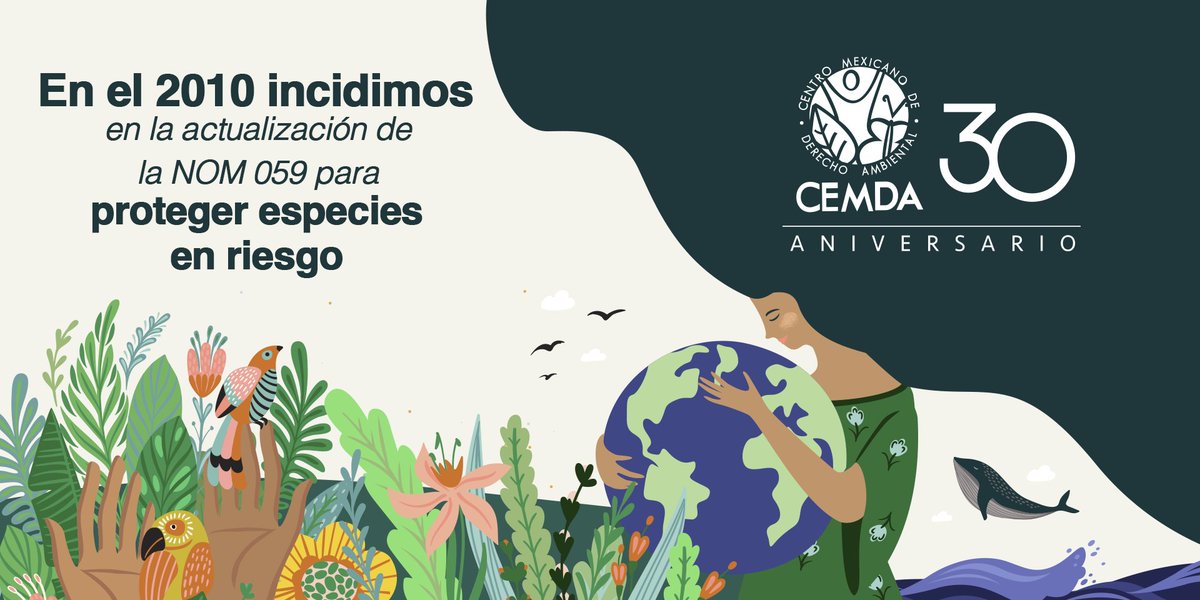 ¡Celebramos 30 años de logros! 🙌🌿

En el 2010, la labor del CEMDA indició en la actualización de la NOM 059 para proteger especies en riesgo. 🐆🦅