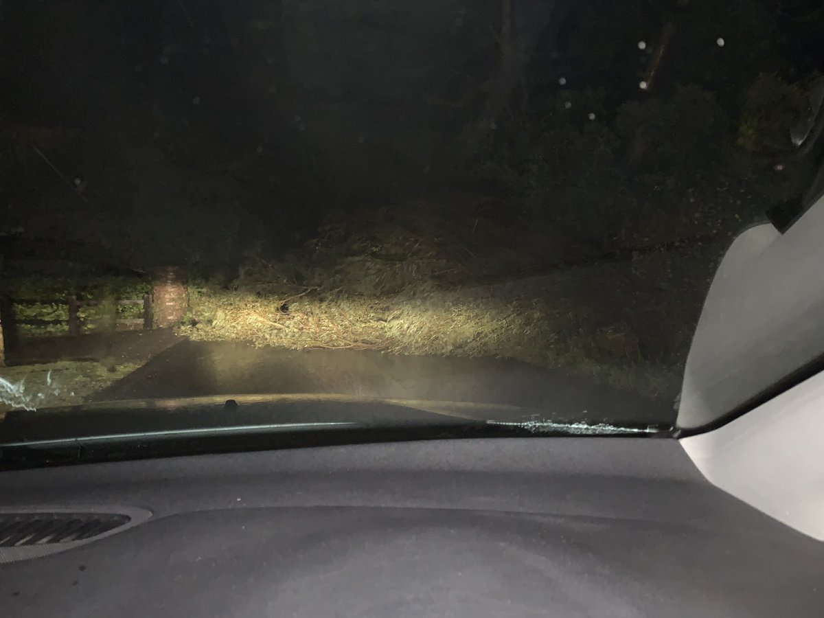 AlliedTraining1's tweet photo. @wexfordcoco take care on Grenville Road lads. Tree doen blocking road https://t.co/JNf8YiEgPS