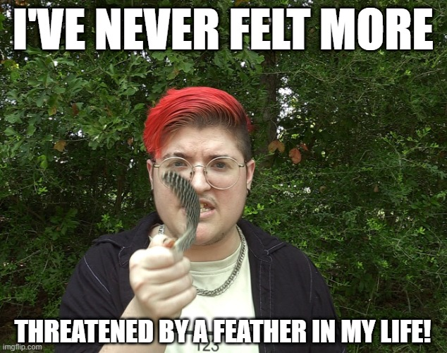 frostedfloof's tweet photo. Some of the Memes my community Made.

#flooftwt #therestless https://t.co/H9kx3o7ohz