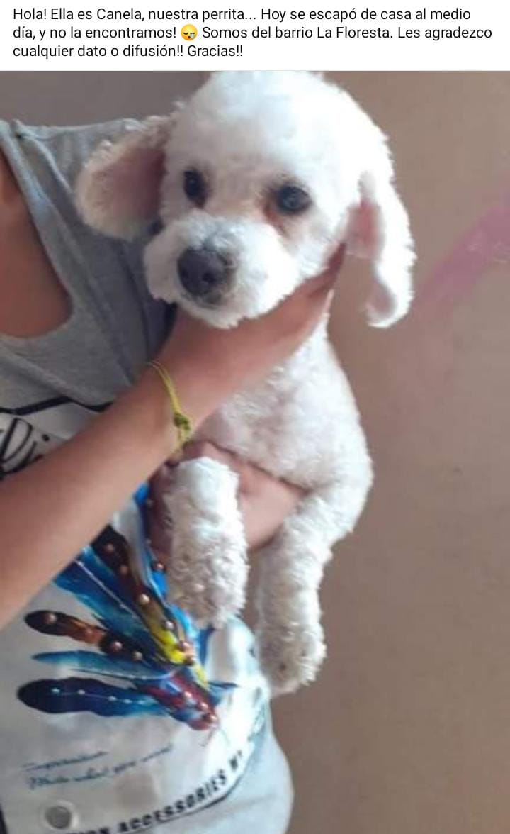 Difundir por favor!!

📍Villanueva- Gllen