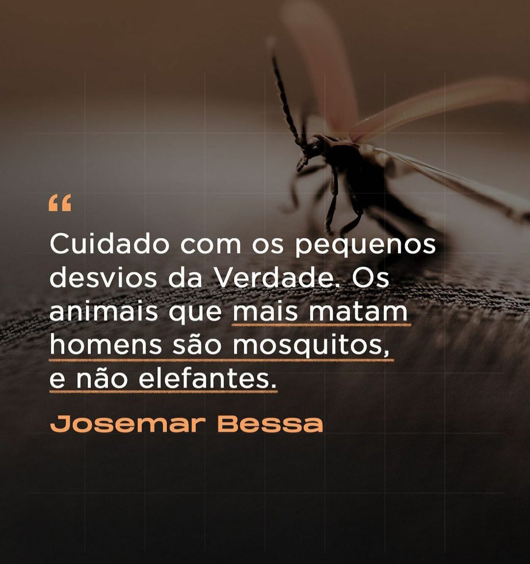 Marlintonlopes tweet media