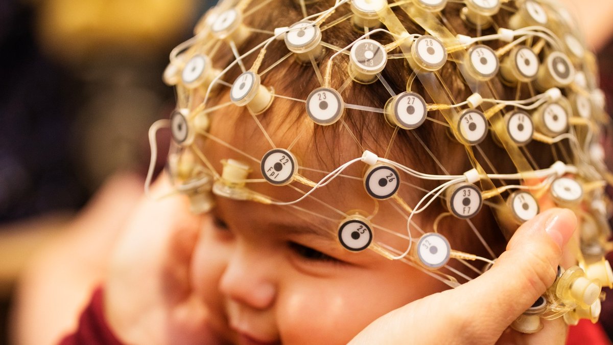 westsydunews's tweet photo. Don’t miss all the activities happening today in Parramatta for the Family Science Day.
Hear from @MARCSInstitute BabyLab experts about how babies learn to communicate. Full details here - https://t.co/BM6yg0MdUG👶 #ScienceWeek https://t.co/8L4isRPrK0