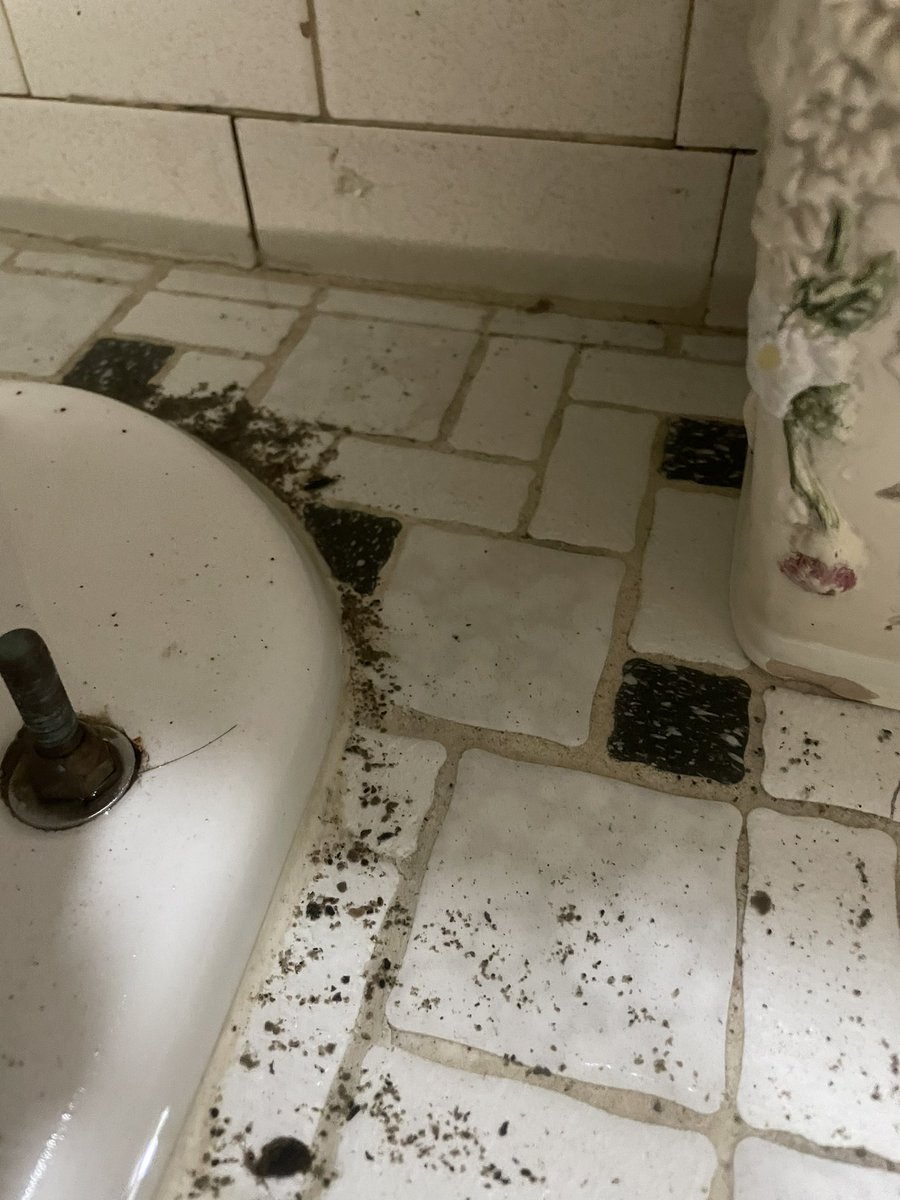 jearamvi's tweet image. The street #sewer is #Clogged by Franklin av and Union St in #Flushing and I got #Flood it a couple times because the #rain @nyc311 @NYC_Buildings @NYCzerowaste @NYCWater @NYS_DEC @dec_nys I am talking about a couple inches of water causing damages