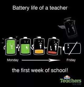 Dr. Niccole Delestre tweet media