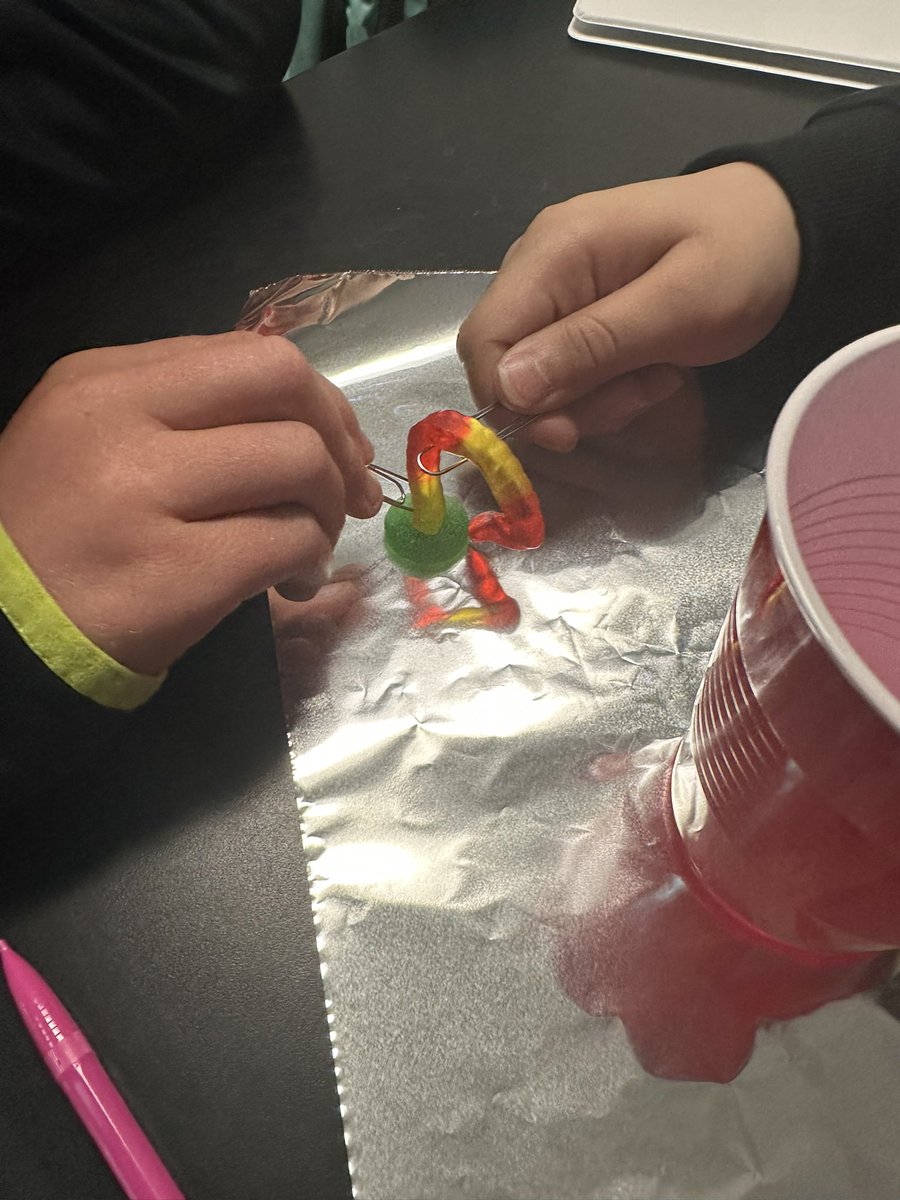 AllisonS_RFISD's tweet photo. Working with our teammates to “save Fred” and put his life saver on him and get him back in his boat! The kids had so much fun with this. They were only allowed to touch with the paper clips! https://t.co/5wGBKJ6gHV