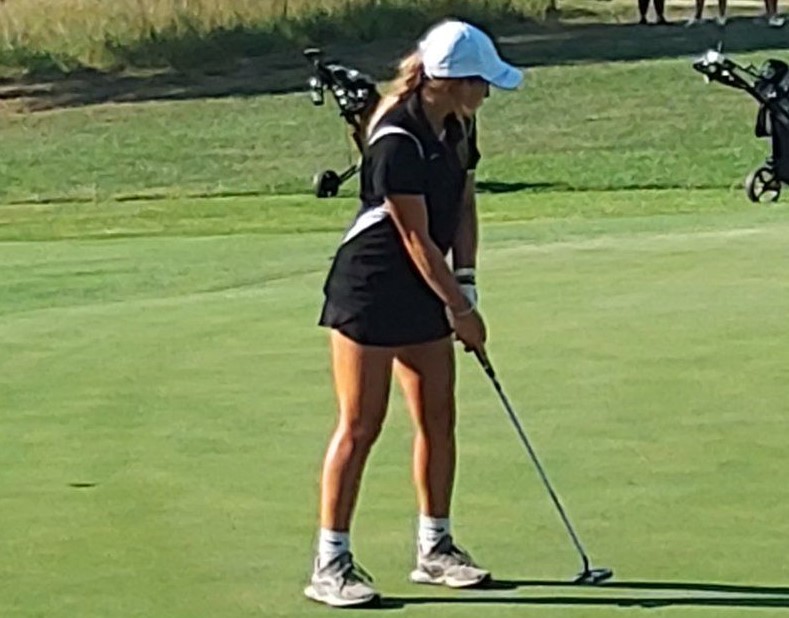 TopsportsN's tweet photo. . @TopsportsN 2023 Shawnee County girls golfers to watch. @RuralGolf @HaydenHigh @SeamanSchools @SilverLakeEagle ...
https://t.co/dOSYJe871X https://t.co/hcUOqQZJEN