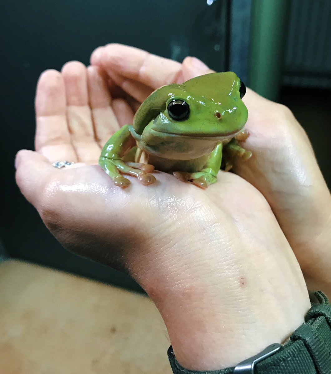 Shower buddy at the Steve Irwin Wildlife Reserve.