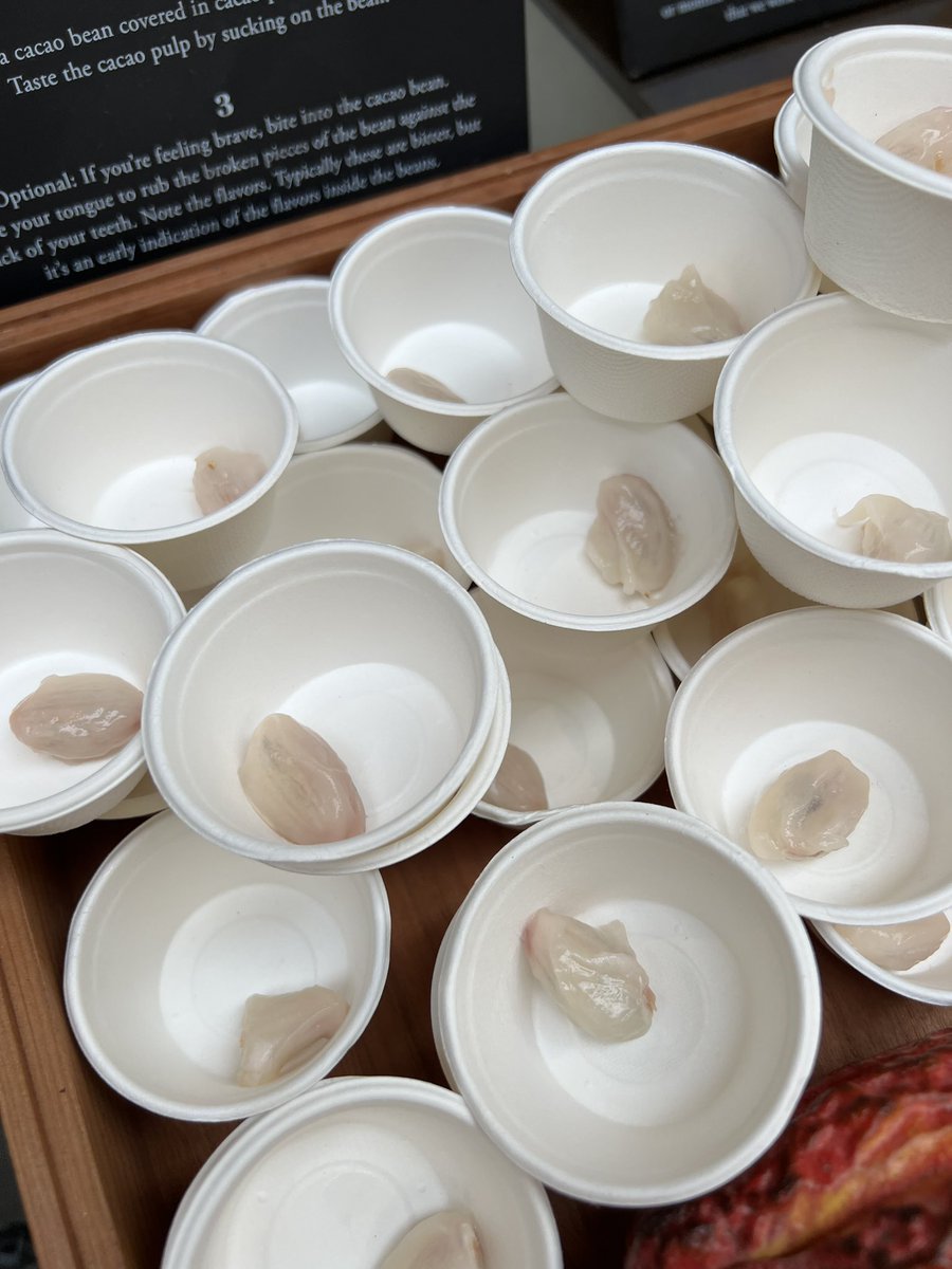 Thomas Smith | AI In Real Life tweet media