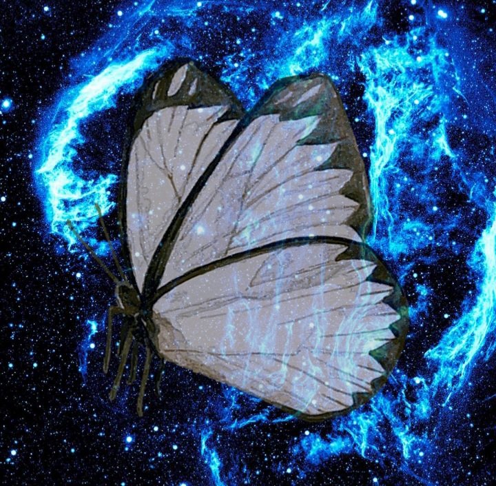 lunaroracle's tweet image. 