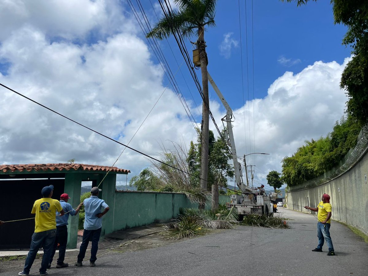 ServiciosEH's tweet photo. 18/08. Cuadrilla de luz. Apoyo de la Alcaldía a Corpoelec, facilitando camión cesta para la poda de árboles que afectaban líneas de alta tension en la Calle Oripoto. https://t.co/MnM64EPigy