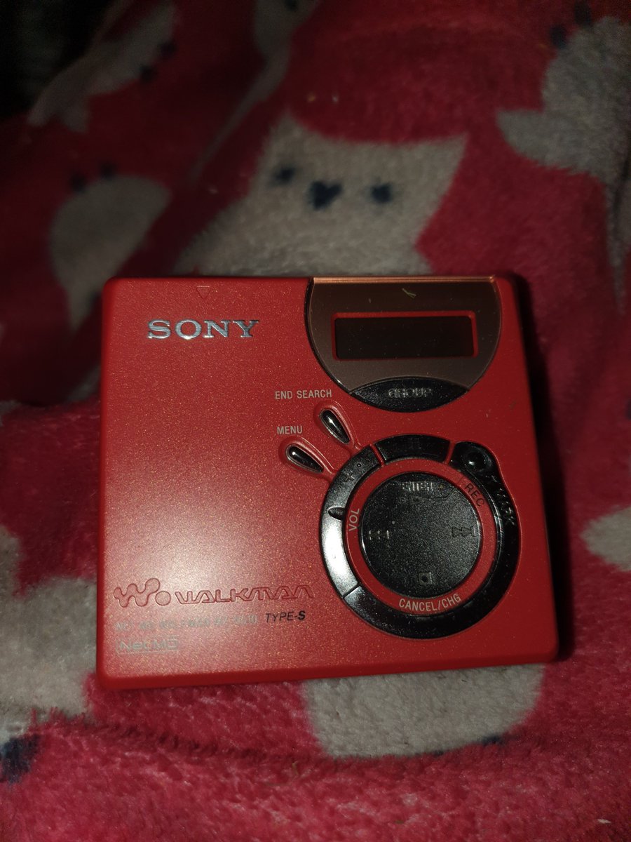 Jen and Sandwich (guinea pig) tweet media